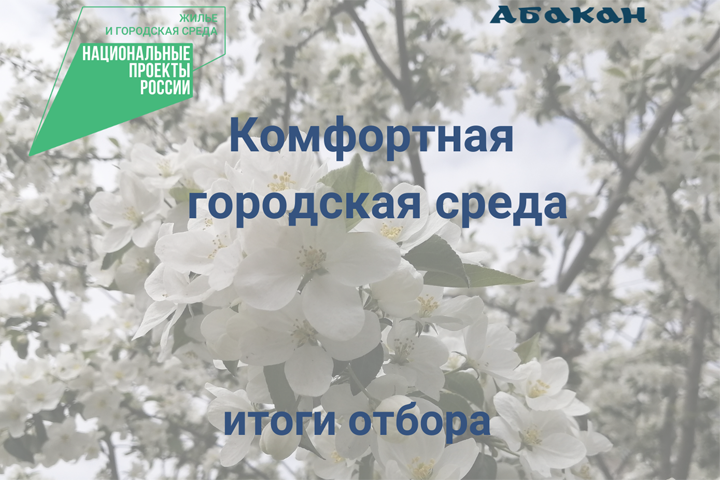 Абакан подвел итоги рейтингового отбора территорий для благоустройства в 2025 году